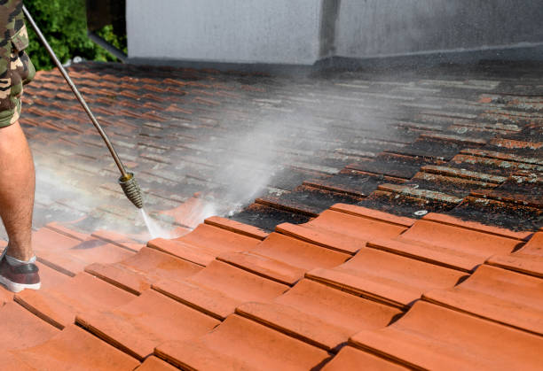 Best Deck Cleaning Services  in Muskego, WI